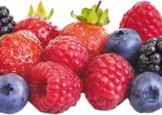 Which Foods Are Highly Rich In Antioxidants?